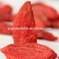 Secado goji ningxia chino goji baya orgánicas a granel bayas de goji